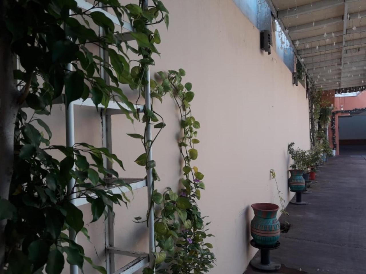 Tercera Avenida Hotel Tuxtla Gutiérrez Exterior foto